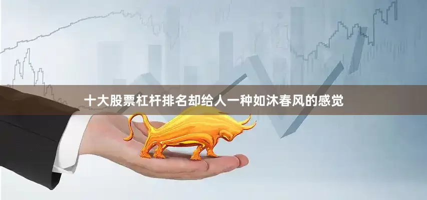 十大股票杠杆排名却给人一种如沐春风的感觉