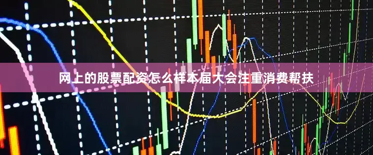 网上的股票配资怎么样本届大会注重消费帮扶